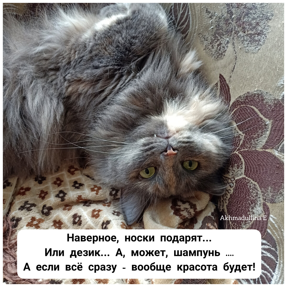 Мужчины, вы же так думаете перед 23 февраля? 🤪😅