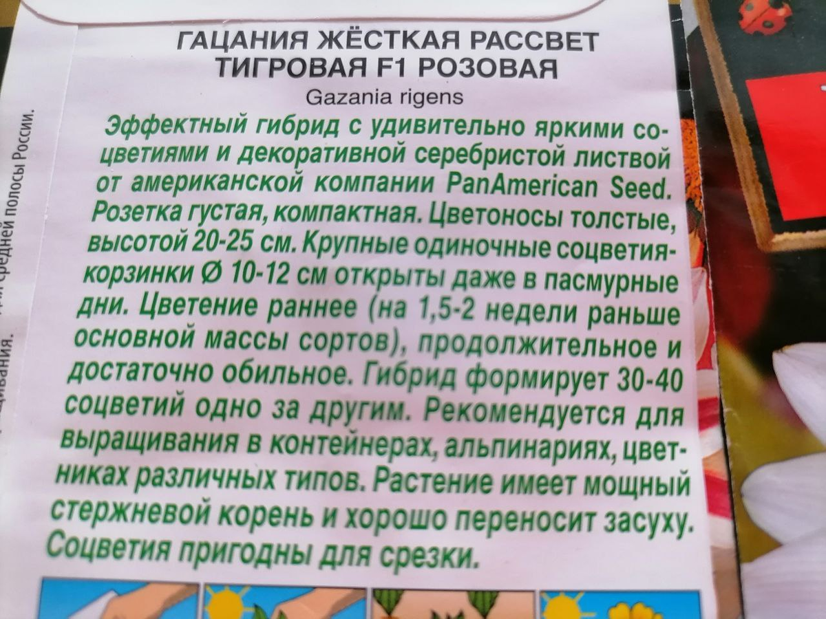 Гацания. Смотрите на пакетах семян, какую покупаете | уДачный выбор | Дзен