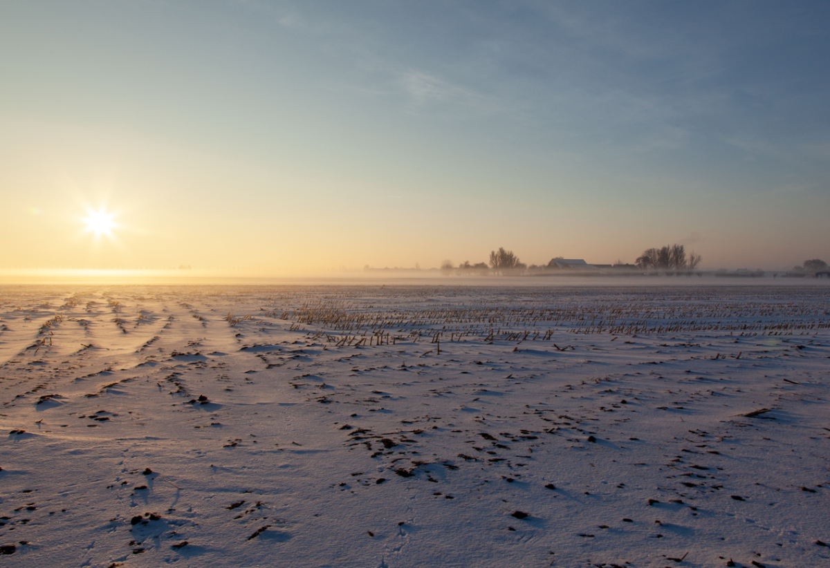    Антициклон обеспечит морозные выходные без осадков в Хабаровске и крае
