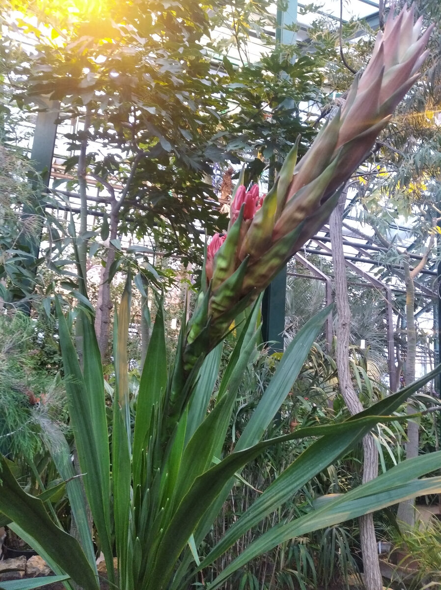 Дориантес Пальмера 19 января 2024 года. Фото из личного архива.