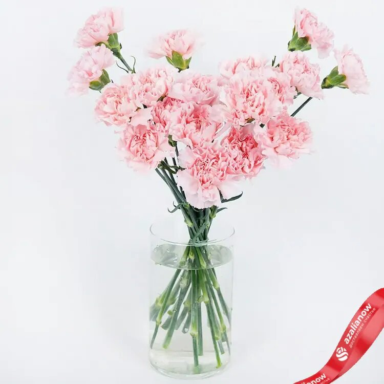 Букет из гвоздик «Сердечная гармония» от AzaliaNow 