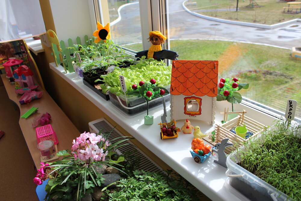 фото взято из открытых источников