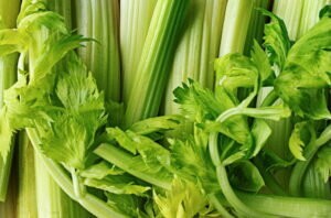    Фото: freepik.com/freepik Анна Полякова