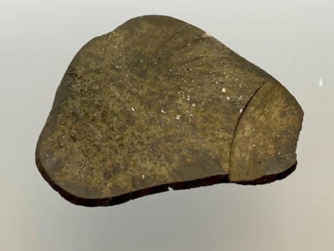 Метеорит Ромашки, находка 2009 г., дер. Ромашки, Волгоградская область. Хондрит обыкновенный, спил массой 146  г, размер 130х100х4 мм. Метеоритная коллекция Московского Планетария, № 16