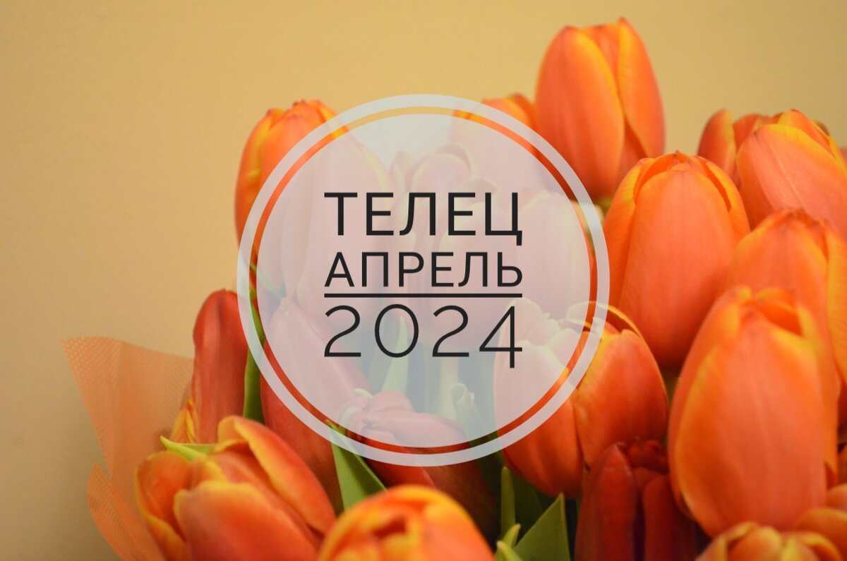 ТЕЛЕЦ АПРЕЛЬ 2024 | Таро с Людмилой | Дзен