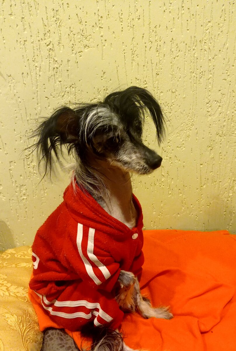 Отмечать будем 23-го февраля