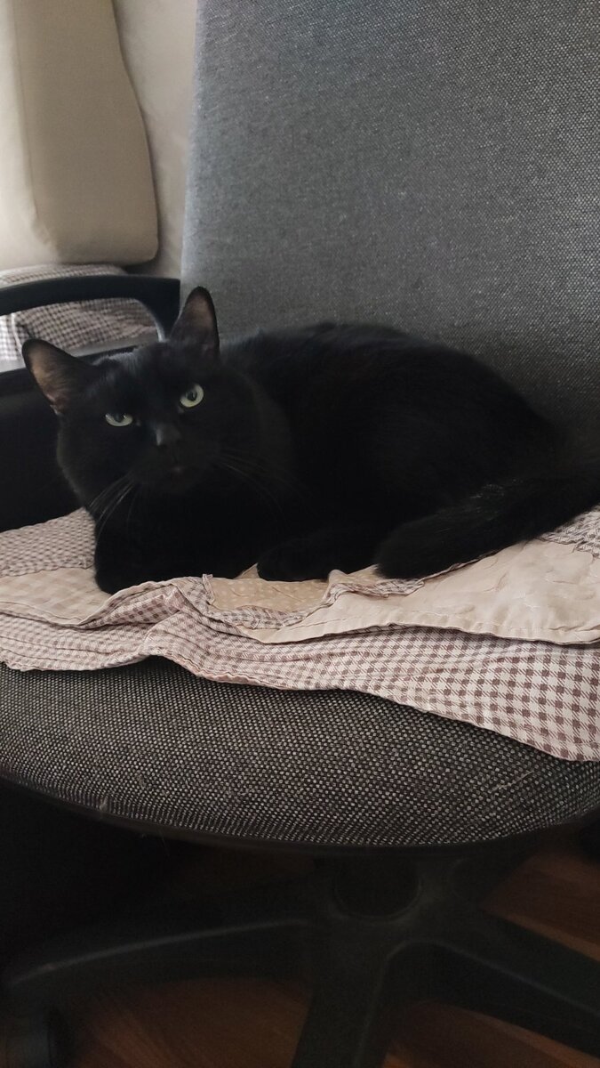 Фото автора. 