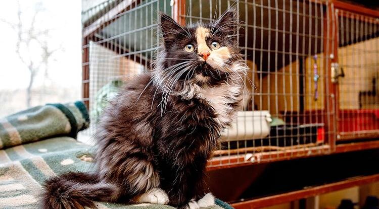 Фото: Павел Колядин