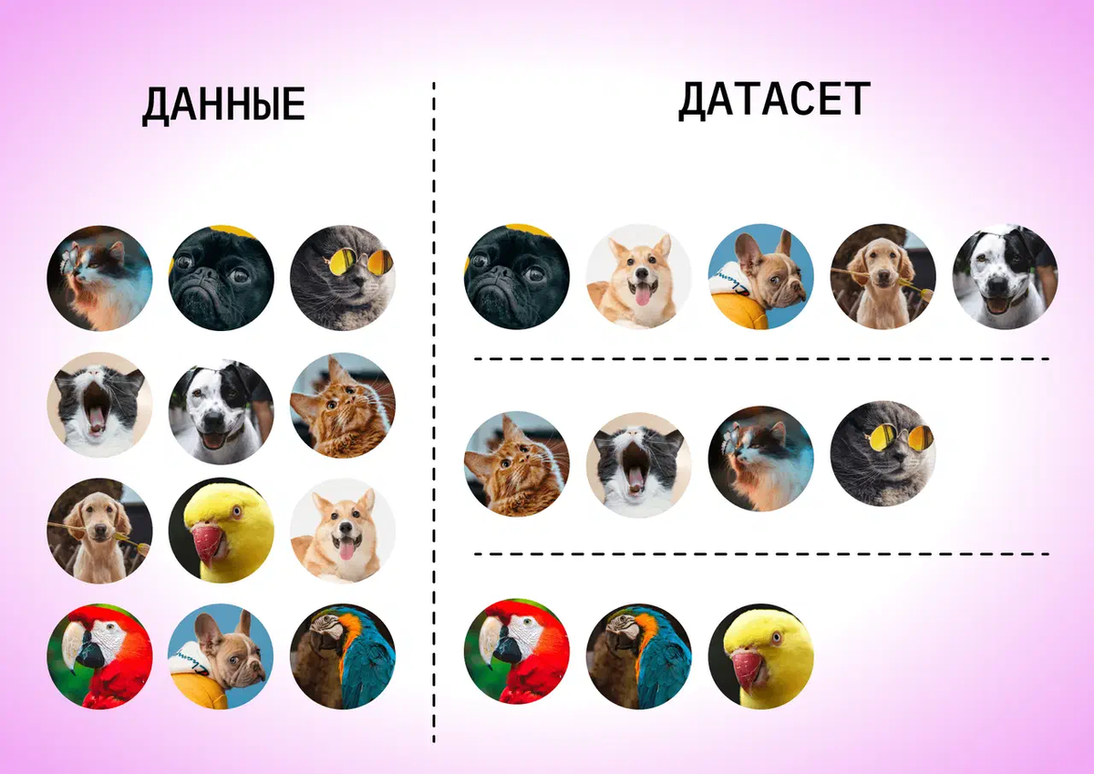 «Яндекс Практикум»📷Датасет распределяет собранные данные по конкретным признакам