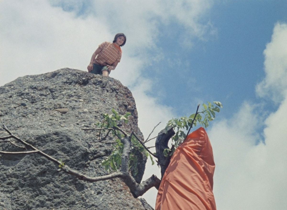 Кавказская пленница, или Новые приключения Шурика (1966). Фото: кадр из фильма