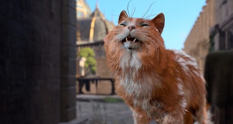 Еле-еле избежал котастрофы