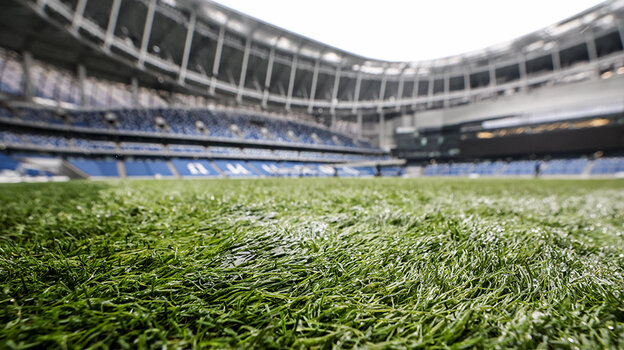    Дарья Исаева