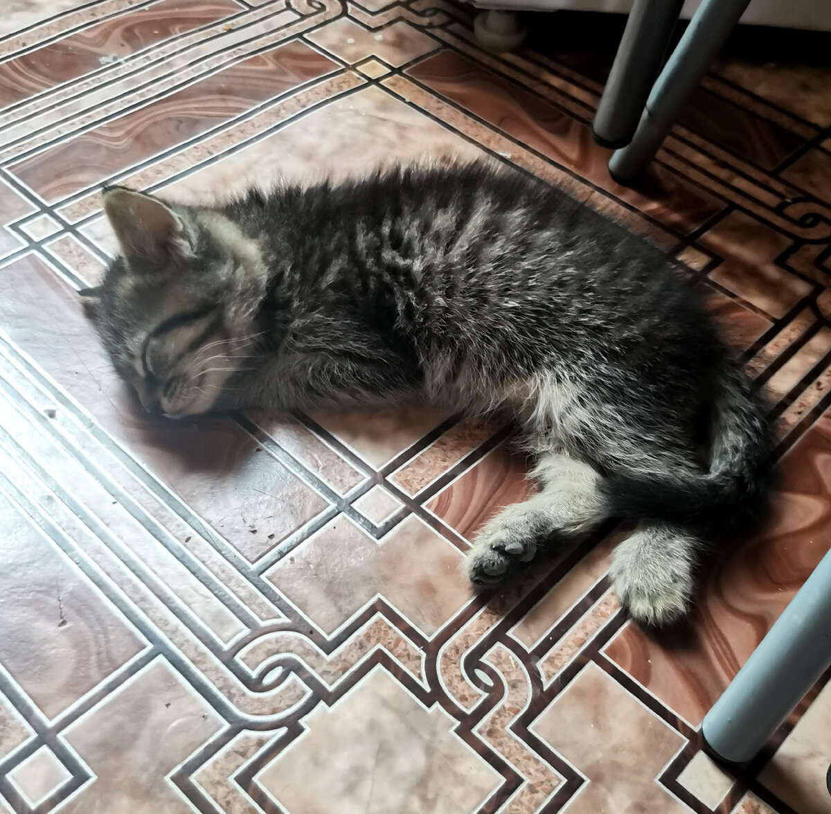 Вот таким маленьким комочком он поселился в нашем доме)