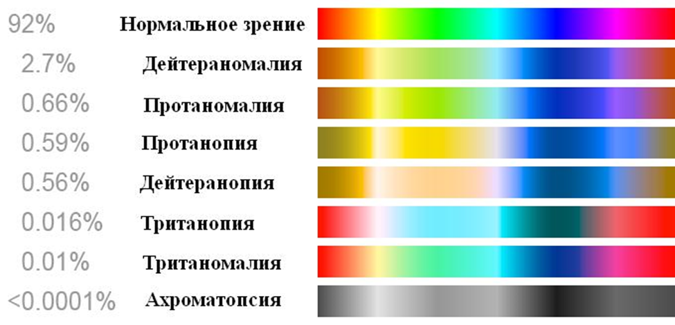 Проценты с боку – частота встречаемости данной особенности зрения среди населения.