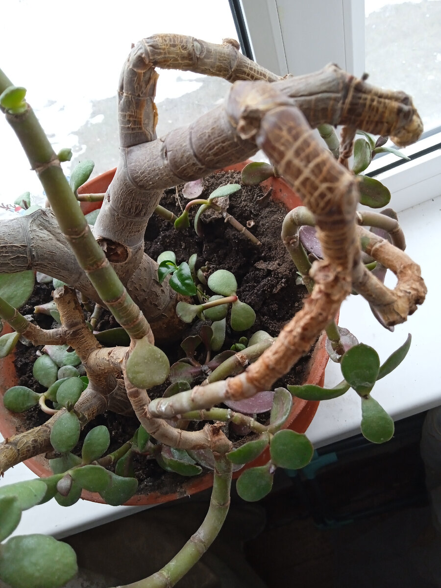 Картинки юмор позитив. Женщина на метле. Фото когда нечего делать. Игры когда скучно за компом. Заначка юмор.