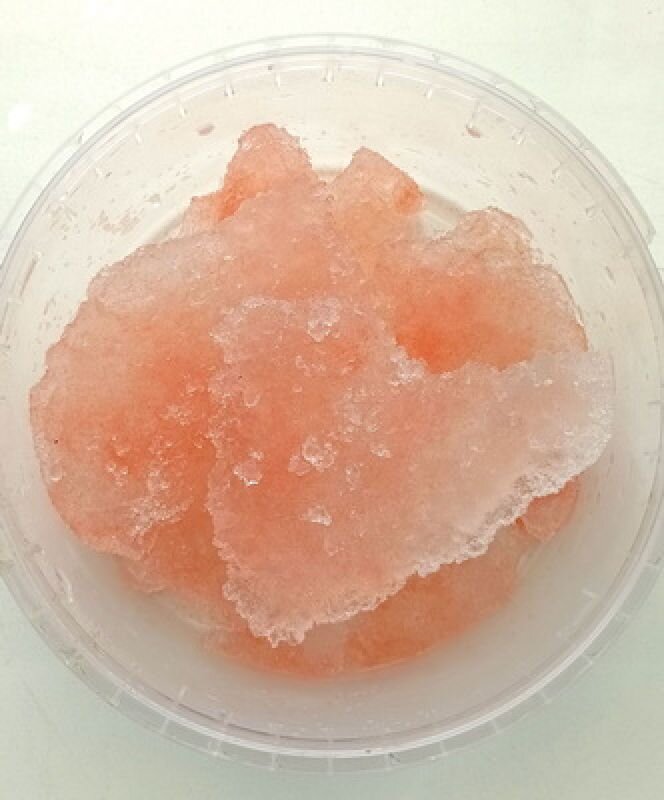 Фото: ННЦМБ ДВО РАН