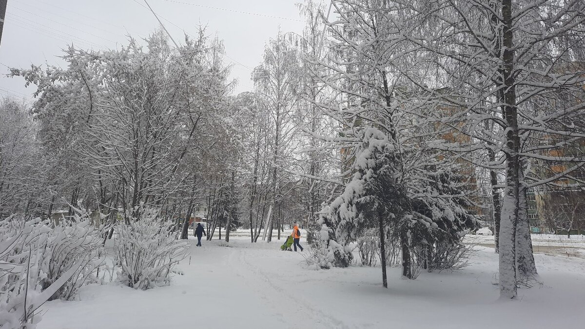    Курская область оказалась на границе двух мощных циклонов