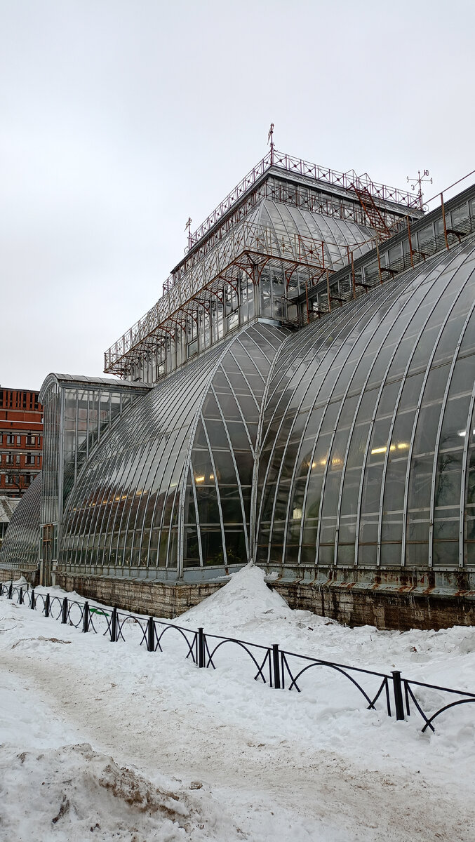 Вот именно там зимой можно оказаться в субтропиках