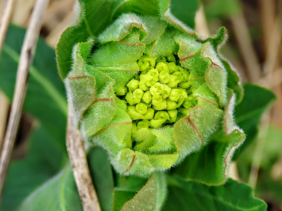 Когда поёт душа! А пока - 31 | Екатерина про Кемерово | Дзен