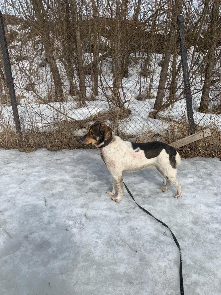 Стихи о брошенных. Стихи о безответной любви. Бросил любимый. Полюбил и бросил. Стихи о неразделенной любви к мужчине.