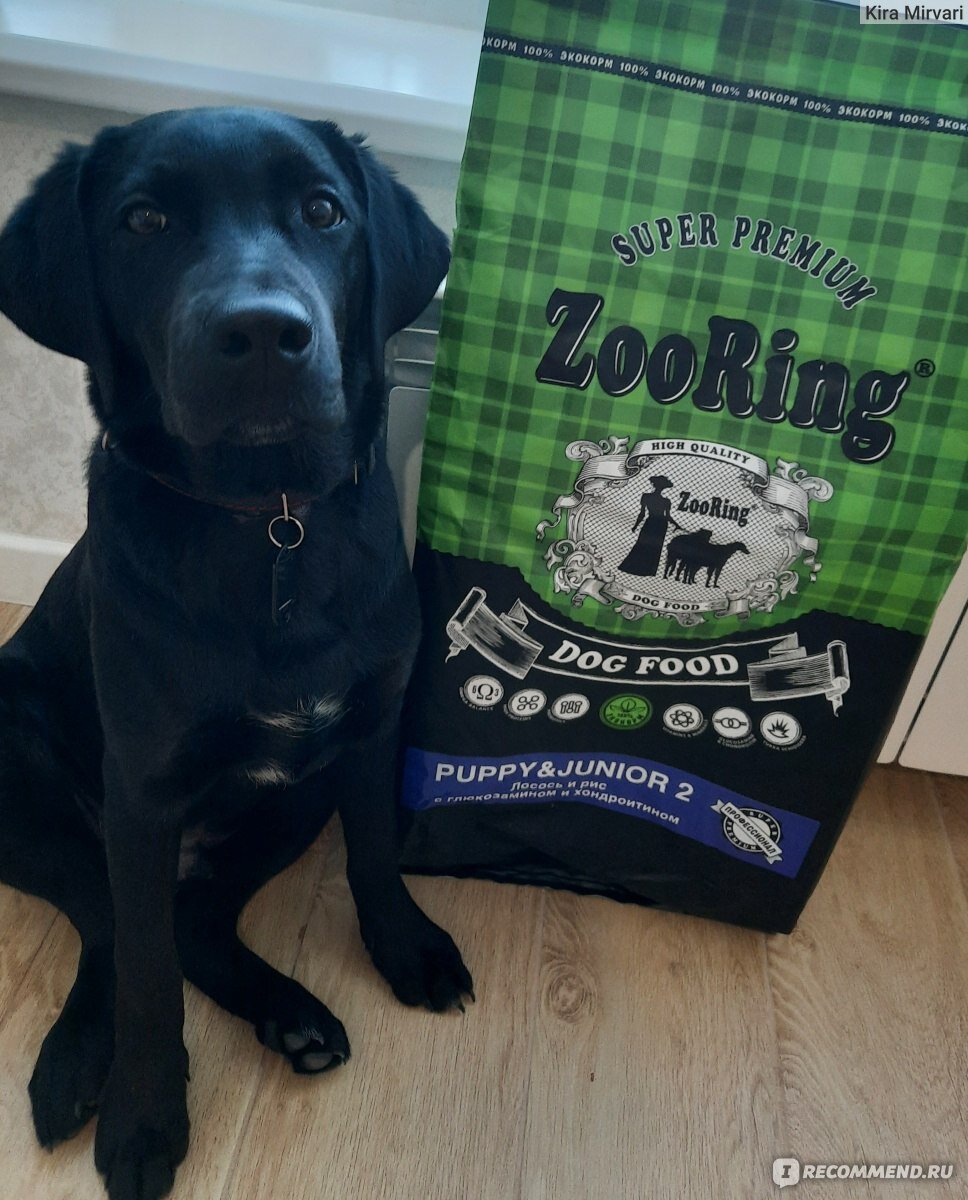 Лабрадор, который попробовал корм Зооринг. Фото с сайта irecommend.ru