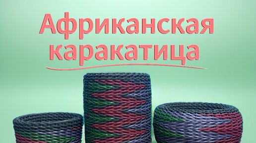 Африканская каракатица