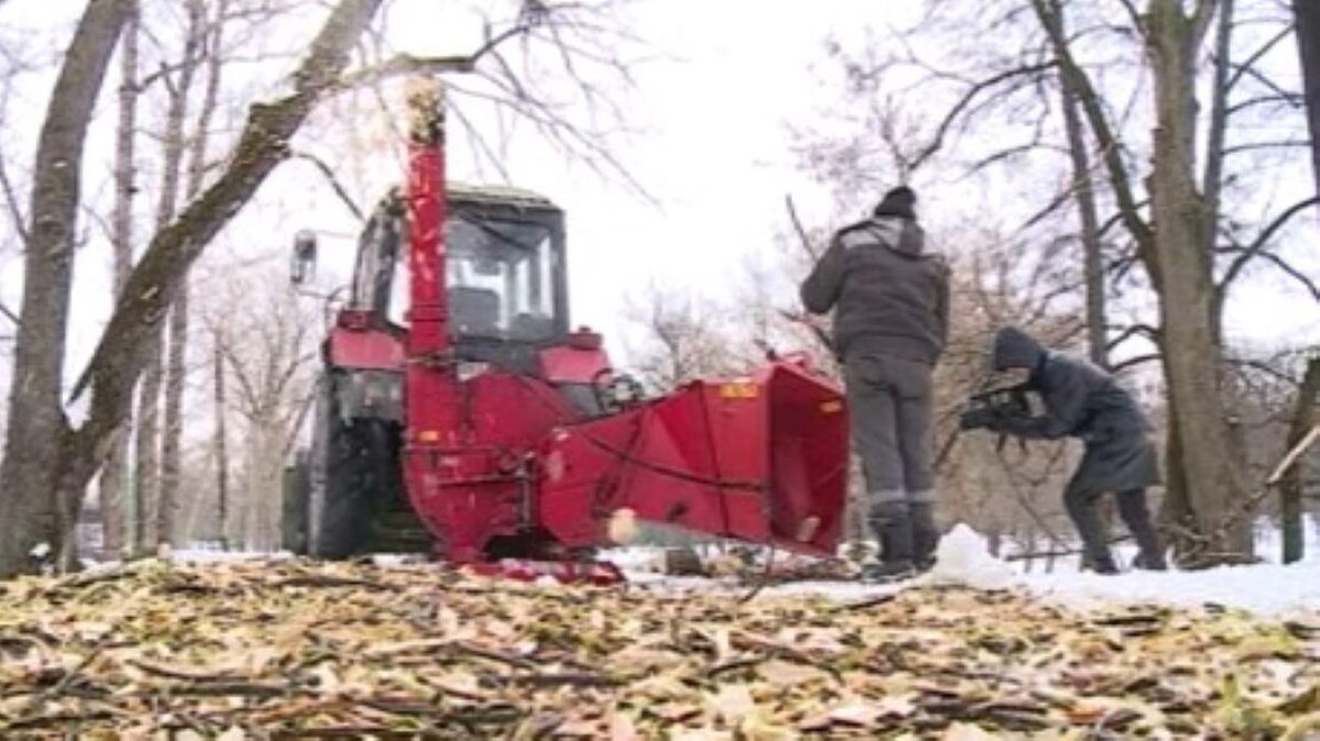    В Курске продолжается благоустройство парка «Боева дача»