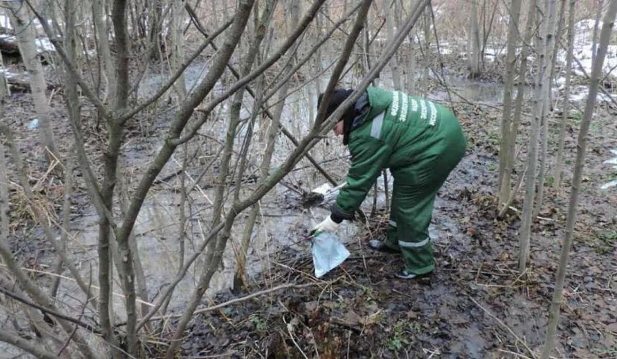 Воронежскую УК оштрафуют на несколько миллионов рублей за незаконный слив  жидких отходов | АОН // Воронеж | Дзен