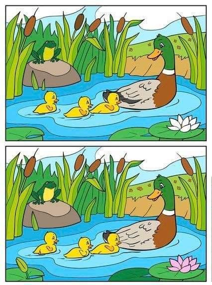 найди отличия для детей. найди. дидактическая игра что изменилось. найди отличия для детей 6-7 лет картинки. игры найти отличия предметы.