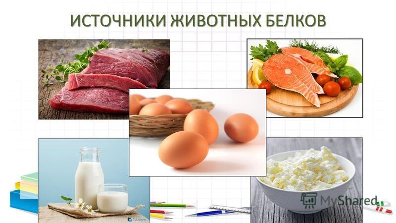 Примеры использования домашних животных источник продовольствия