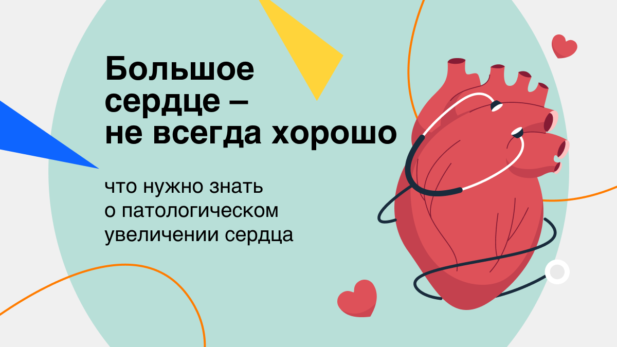 Большое сердце – не всегда хорошо: что нужно знать о патологическом  увеличении сердца | Здоровый подход | Современная медицина | Дзен