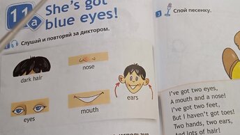 Спотлайт 6. Spotlight 6 module 3 c. Тест по английскому языку 3 класс с ответами. Spotlight 6 module 3 c. Грамматический справочник по английскому языку 8 класс spotlight.