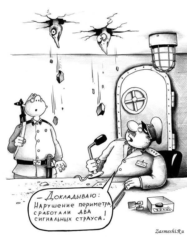 Сергей Корсун Источник Zasmeshi.ru