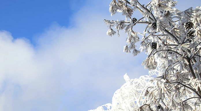    Фото из архива "Континента Сибирь"