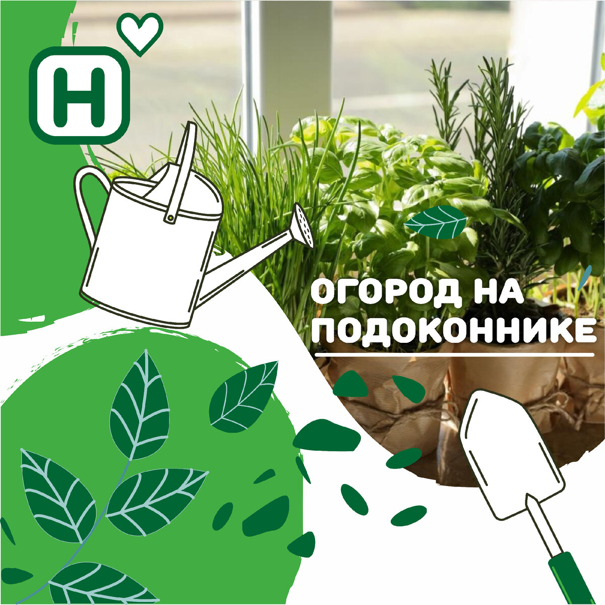 Огород на подоконнике. Советы от «Находки» | Находка.Блог | Дзен