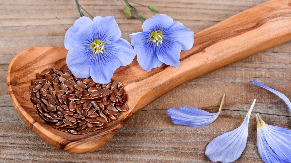 Семена рыжика и семена льна. Какие растения употребляют в пищу. Семена используемые в пищу. Чиа кунжут лён смесь. Семена льна свойства.