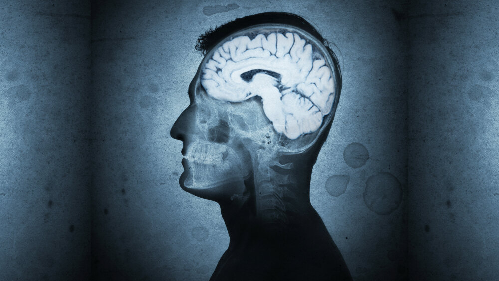    Фото: Shutterstock.com