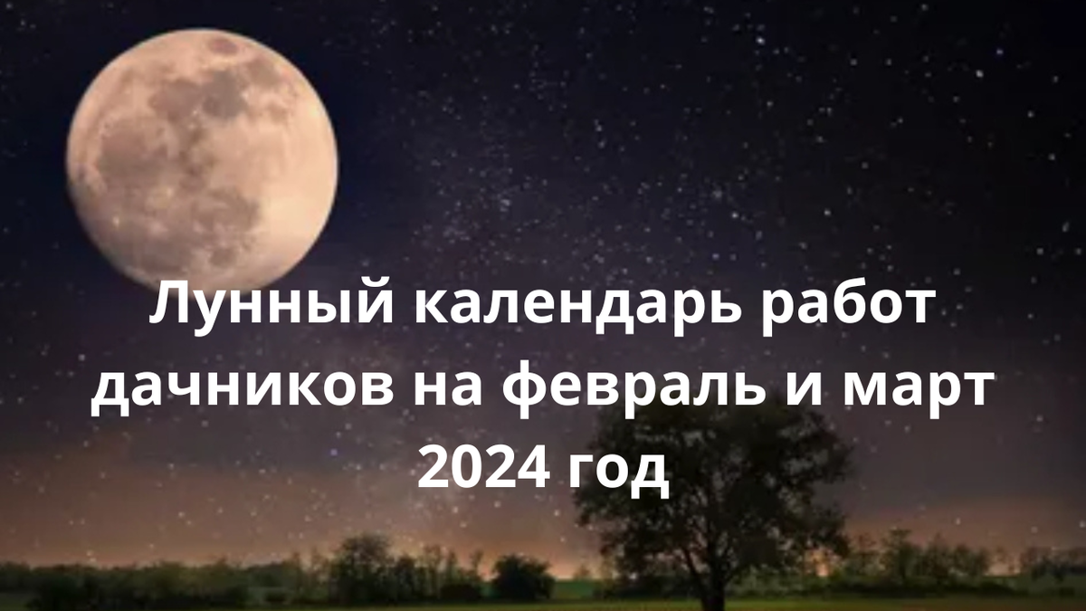 Лунный календарь работ дачников на февраль и март 2024 год | Огородник из  Сибири | Дзен