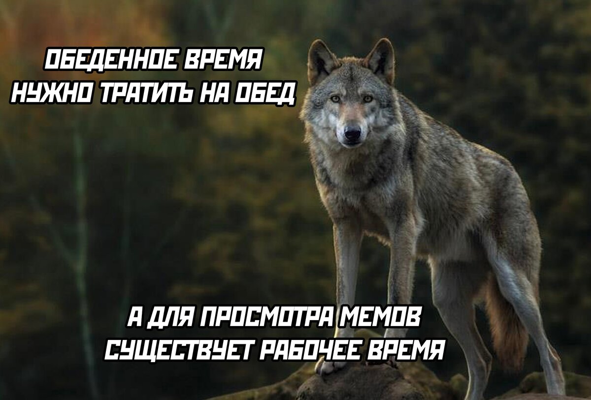 _________________________________________________