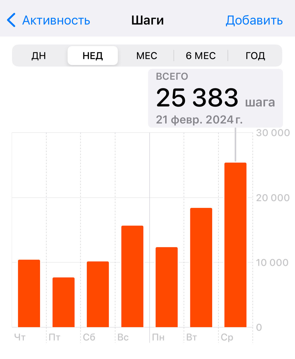 Мы погуляли… Фотография сделана автором.