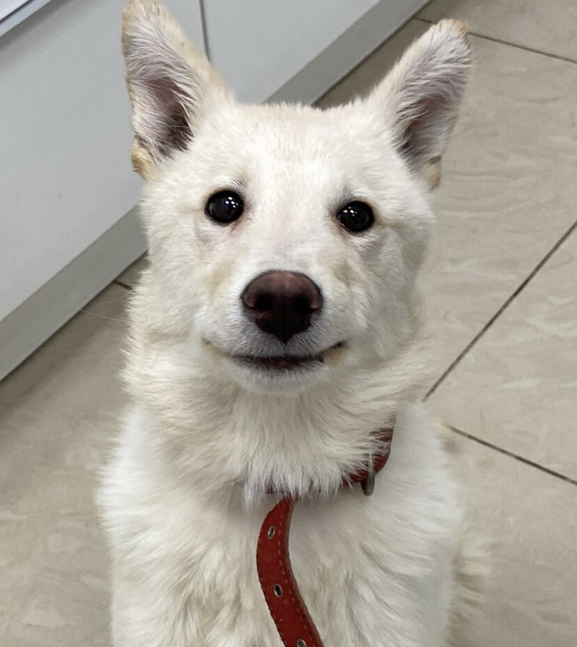 Улыбка Лолы ❤️