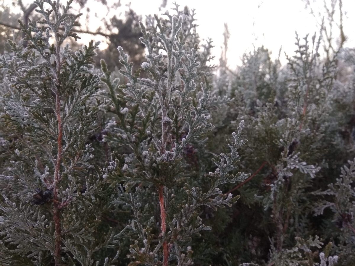 Днём +15, но по ночам всё ещё минус