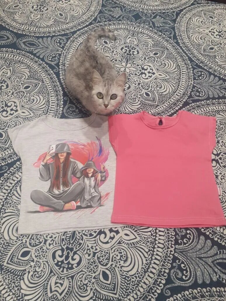 Киса наша одноглазая😉