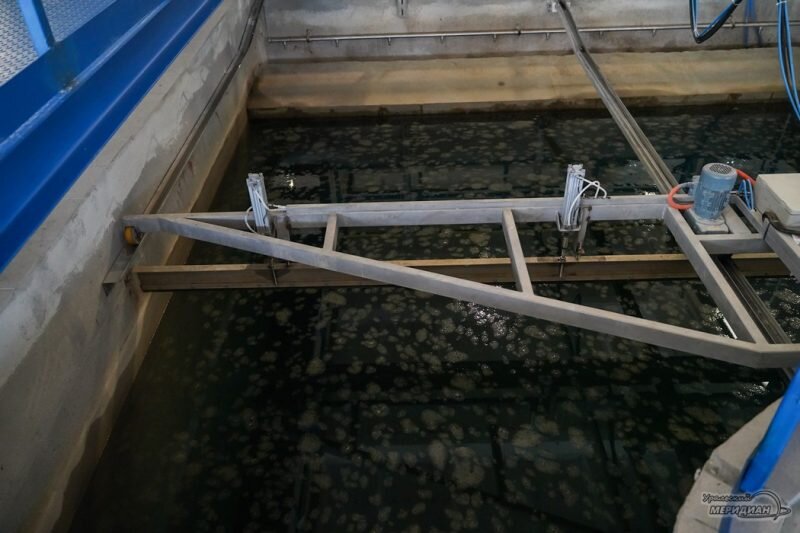    Фото: Лидия Аникина © ИА «Уральский меридиан» Юлия Баталова