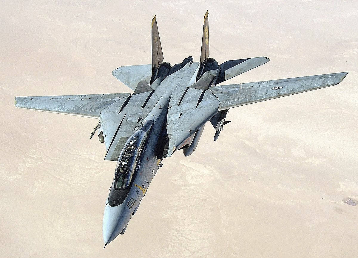 Grumman F-14 Tomcat
