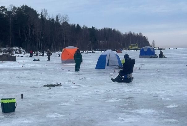 Фото из паблика karelia.news