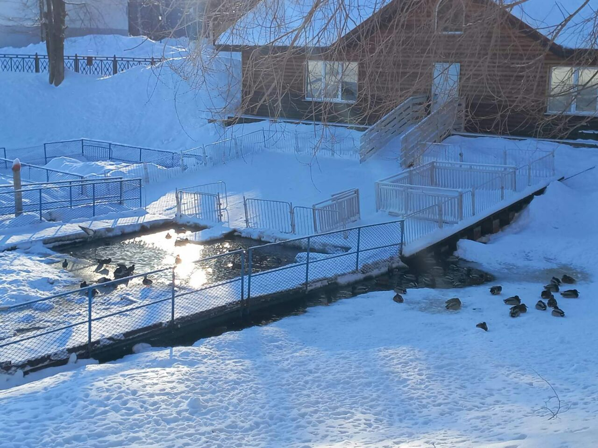 Фото автора.