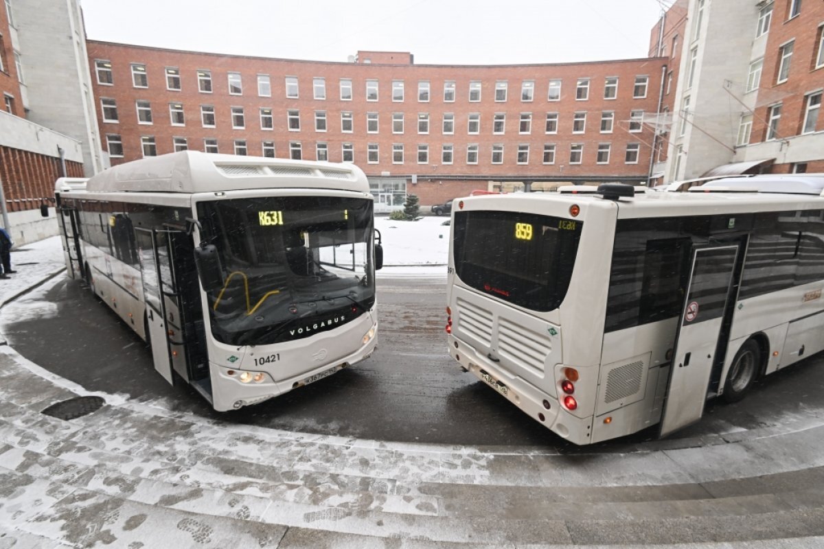    Новые современные автобусы вышли на дороги Ленобласти