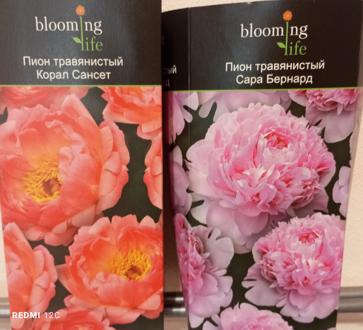 Вот такие сорта