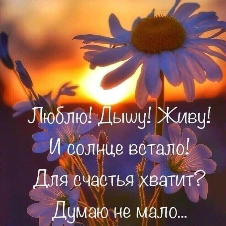 Безвыходных положений не БЫВАЕТ.